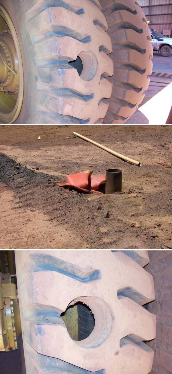 Morning Picdump