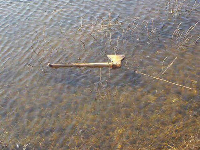 Morning Picdump