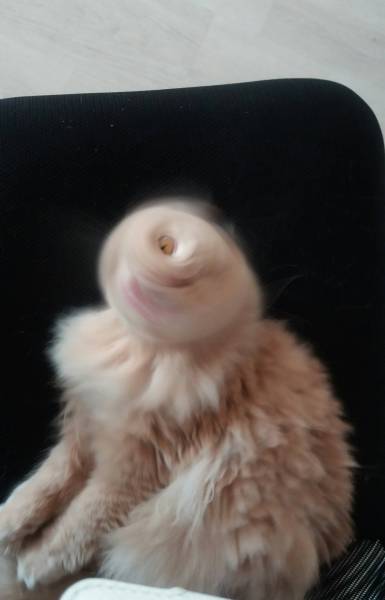 Morning Picdump