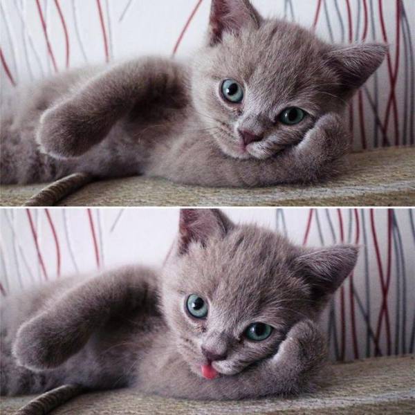 Morning Picdump