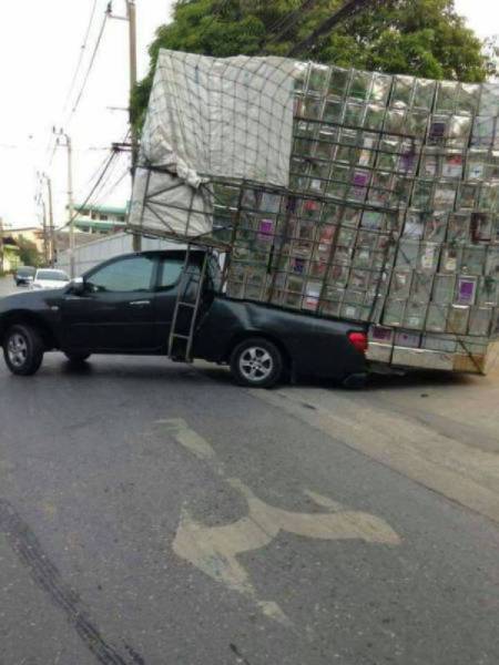 Compilation Of Fails That Will Make You Giggle