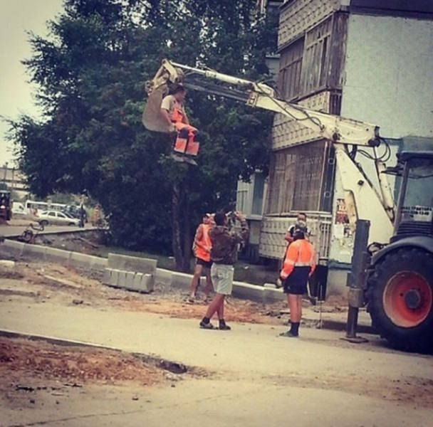 Morning Picdump