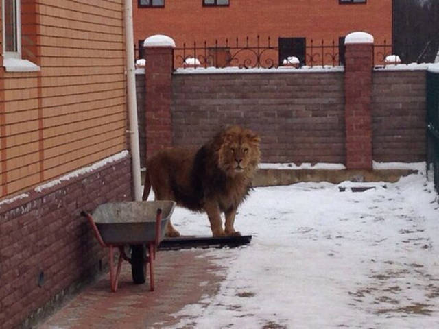 Morning Picdump