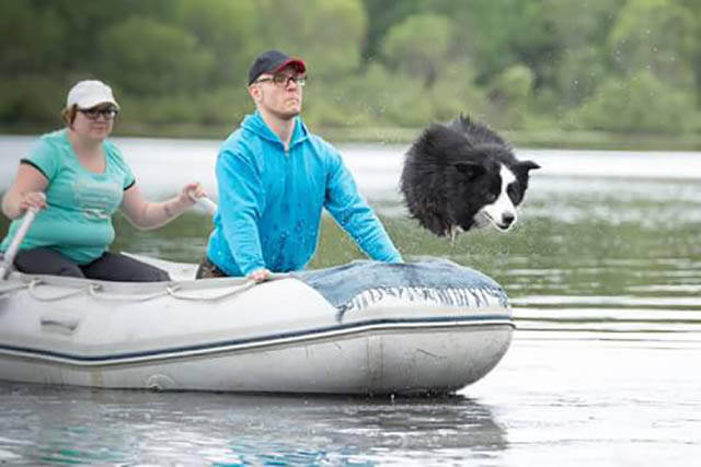 Morning Picdump