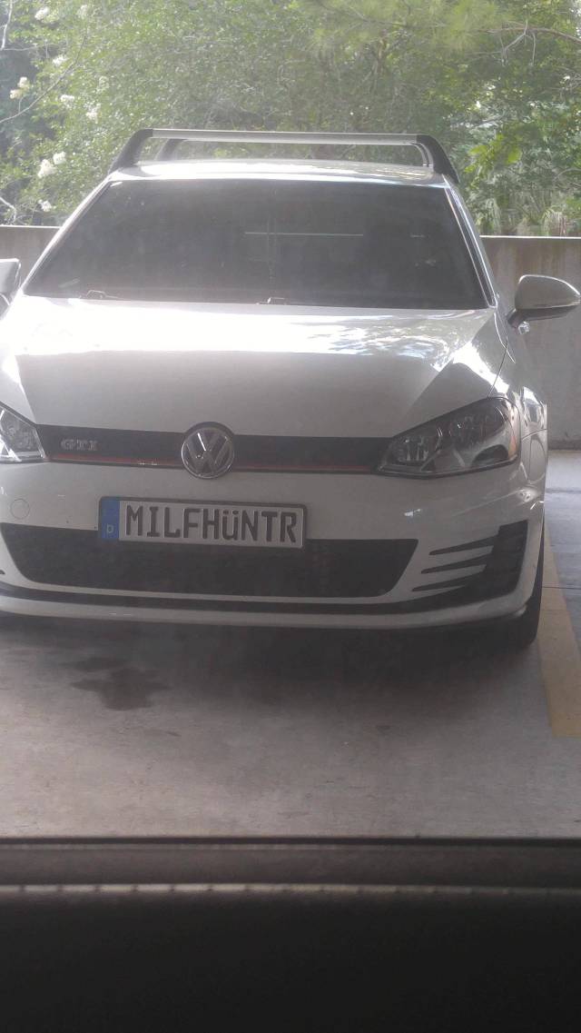 Morning Picdump