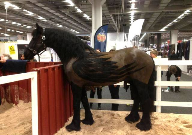 Morning Picdump
