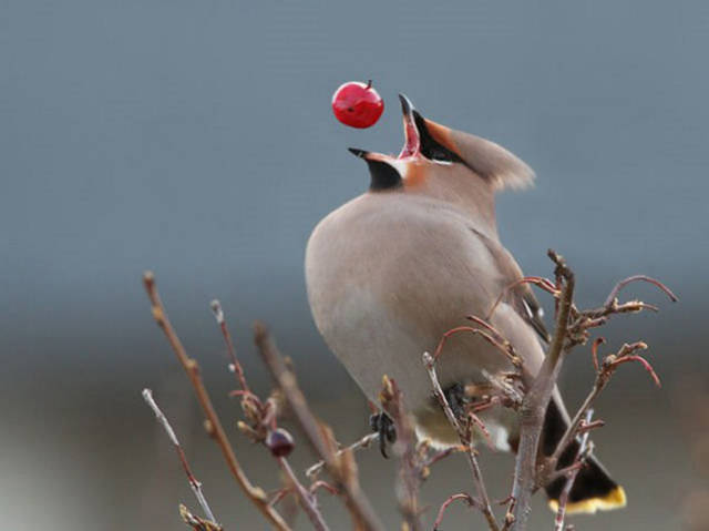 There’s Nothing Better Than Perfectly Timed Photos