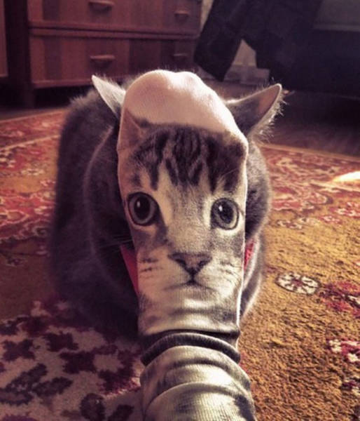 There’s Nothing Better Than Perfectly Timed Photos