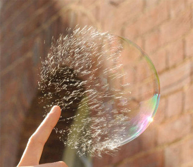 There’s Nothing Better Than Perfectly Timed Photos