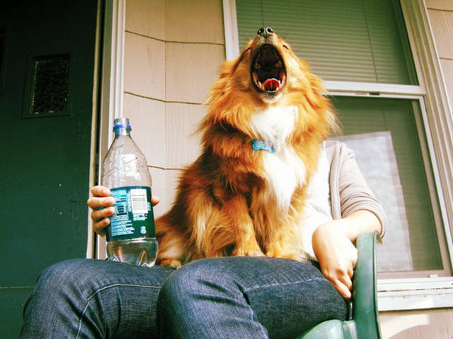 There’s Nothing Better Than Perfectly Timed Photos