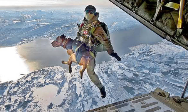 Morning Picdump
