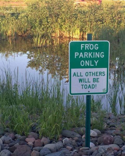 Morning Picdump