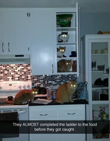 Funny Picdump