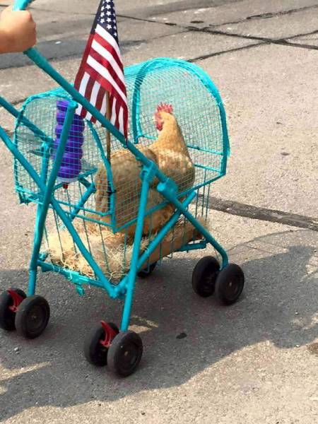 Morning Picdump