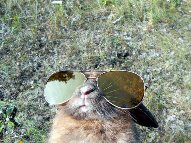 Morning Picdump