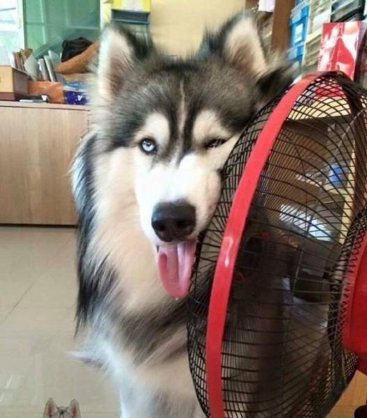 Morning Picdump