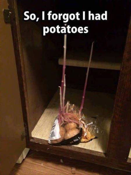 Daily Picdump [WEEKEND EDITION]