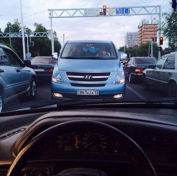 Morning Picdump