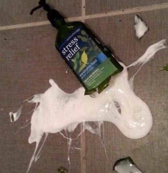 Daily Picdump