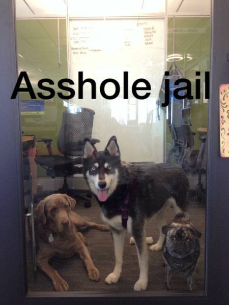 Daily Picdump