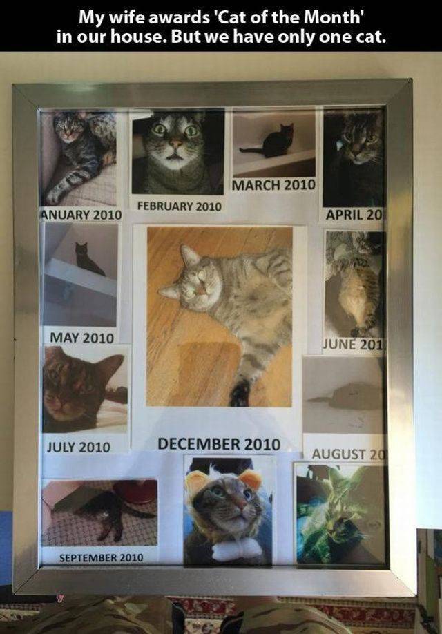 Daily Picdump