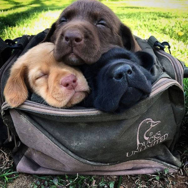Morning Picdump
