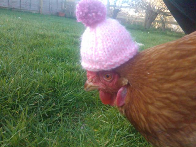 Morning Picdump