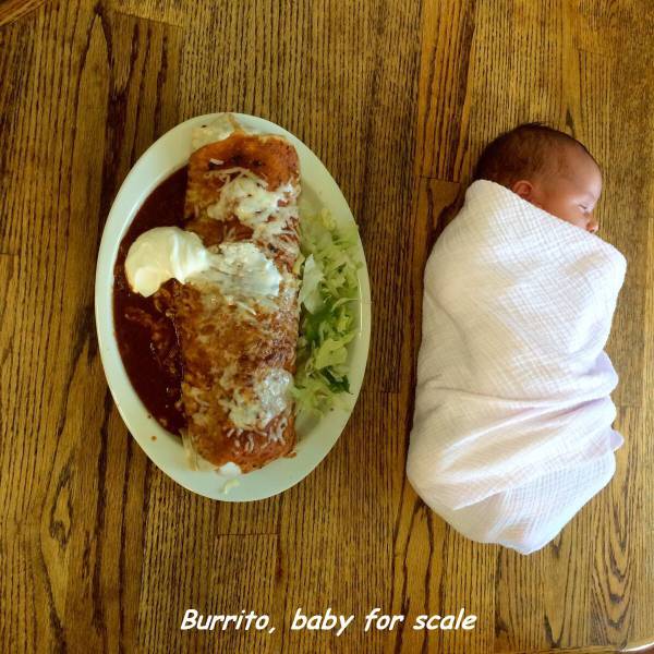 Daily Picdump [WEEKEND EDITION]