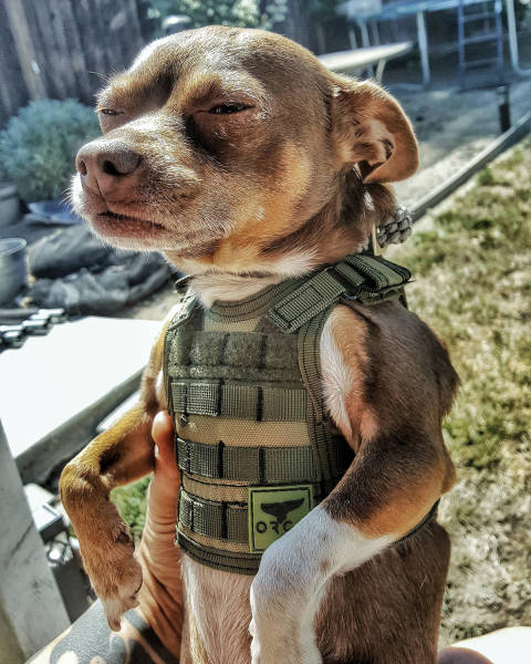 Daily Picdump [WEEKEND EDITION]