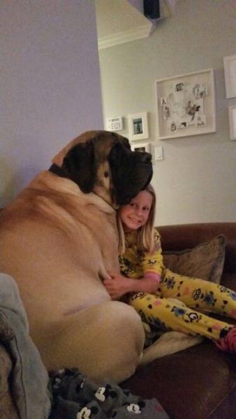 Morning Picdump