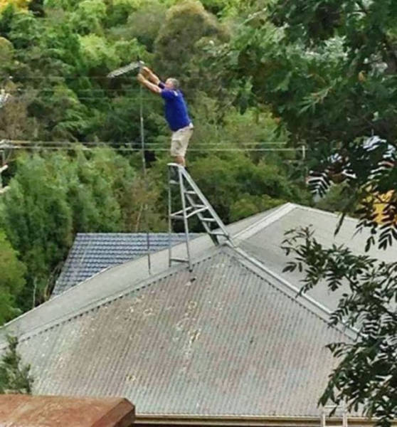 Morning Picdump