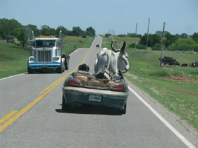 Morning Picdump
