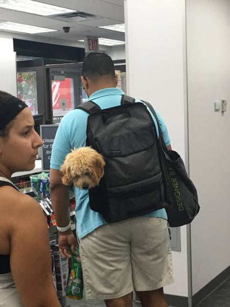 Morning Picdump