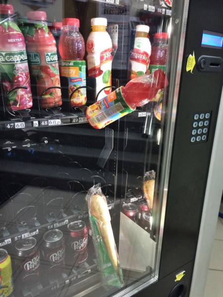 Morning Picdump