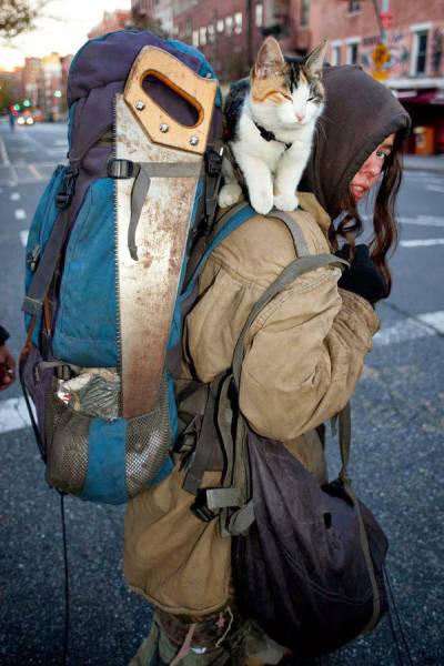 Morning Picdump