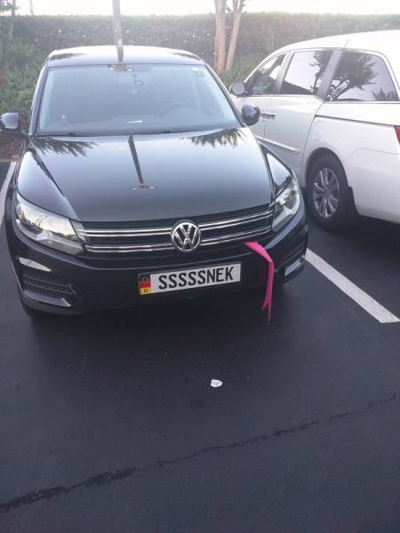 Morning Picdump