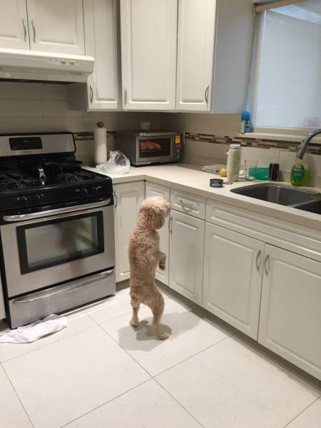 Morning Picdump
