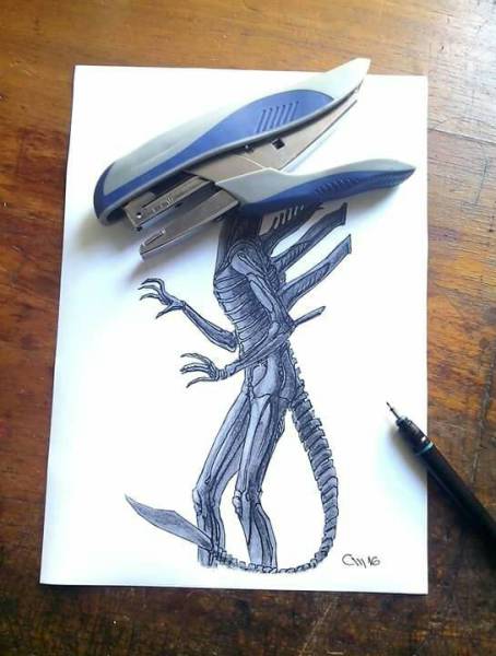 Morning Picdump