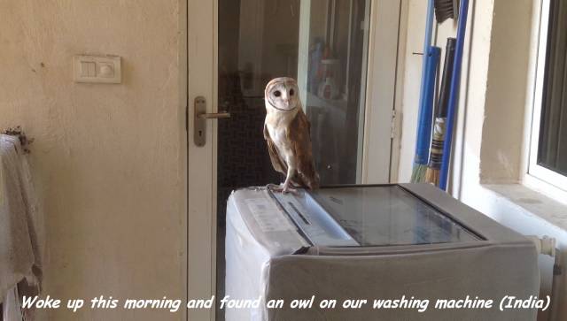 Daily Picdump