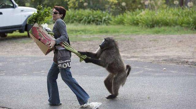 Daily Picdump