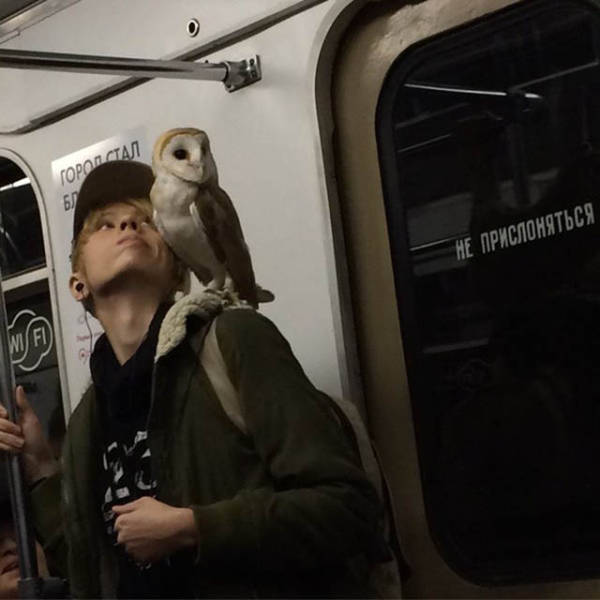 Morning Picdump