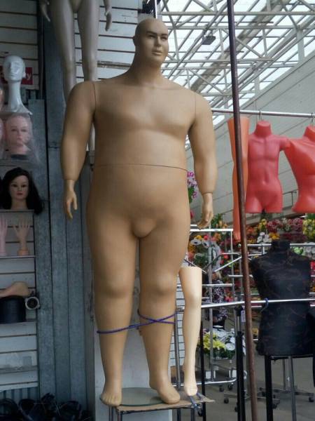 Morning Picdump