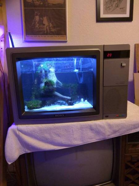 Morning Picdump