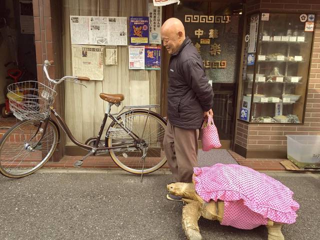 Daily Picdump [WEEKEND EDITION]