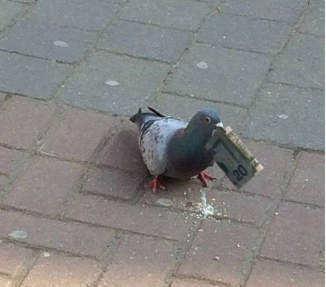 Morning Picdump