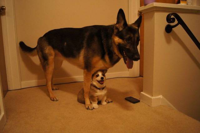 Daily Picdump