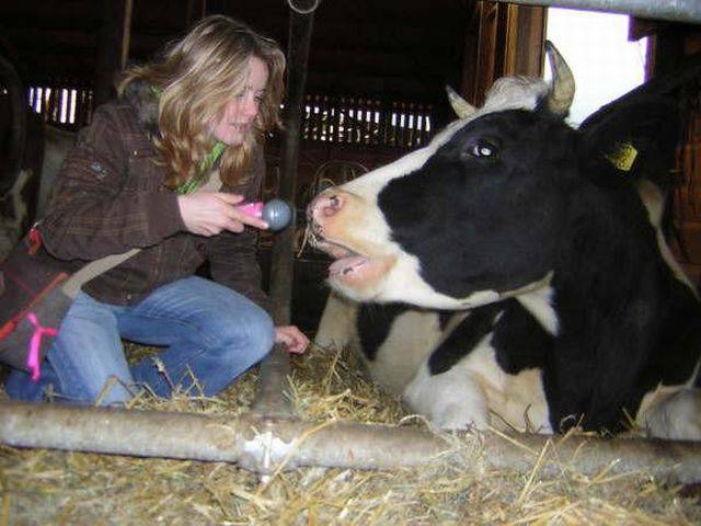 Daily Picdump