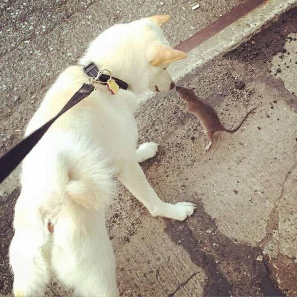 Daily Picdump