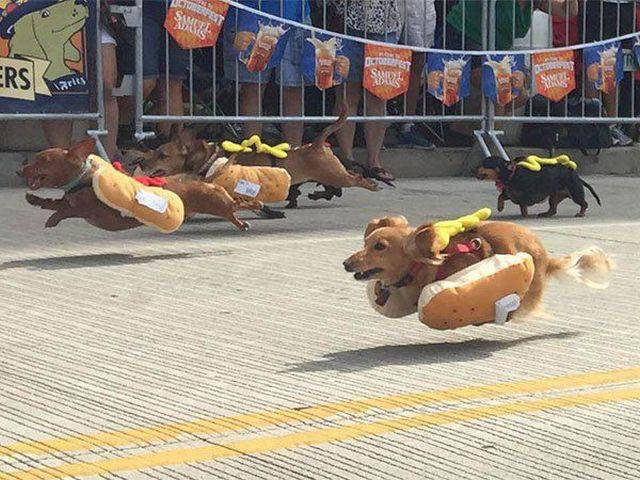 Daily Picdump