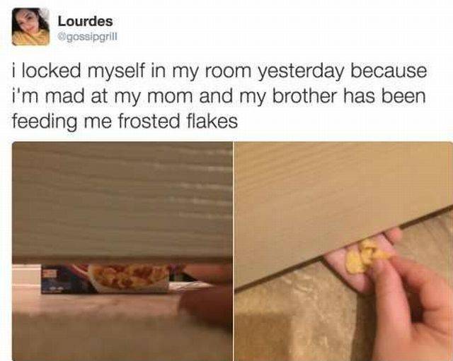Daily Picdump